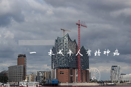 一個未成年人有精神病，殺人后如何判刑？